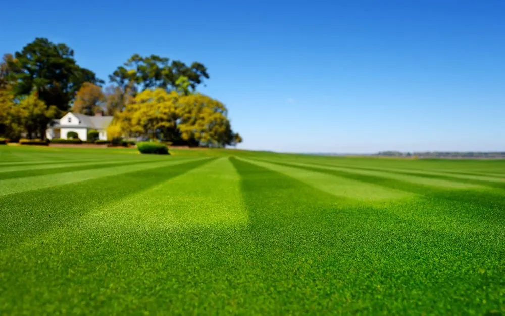 Custom lawn care service in Christiansburg, VA by Go-Green Handyman Services