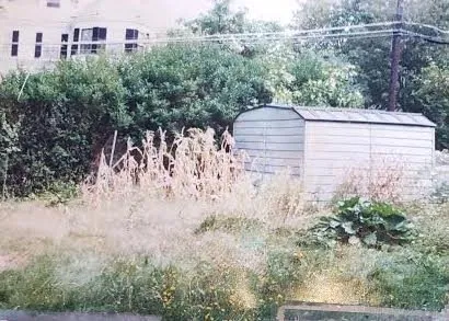 Expert yard maintenance for beautiful yards across Lynnfield, MA - Go Green Landscape & Construction