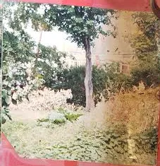 Custom landscape installation experts serving Lynnfield, MA - Go Green Landscape & Construction