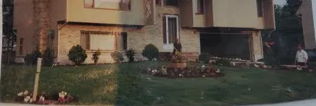 Affordable garden landscaping for year-round maintenance in Lynnfield, MA by Go Green Landscape & Construction