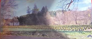 Trusted outdoor landscaping experts serving Lynnfield, MA - Go Green Landscape & Construction