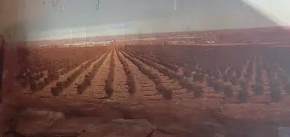 Expert garden landscaping for beautiful yards in Lynnfield, MA by Go Green Landscape & Construction