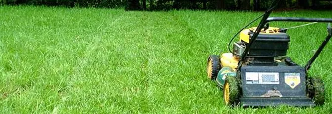 Affordable lawn care service in Woburn, MA by Go Green Landscape& Construction