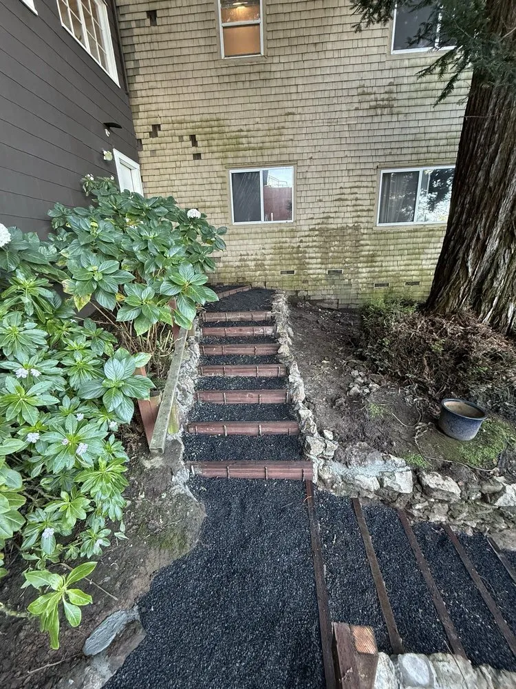 Trusted garden landscaping in San Francisco, CA - Go Green Landscape