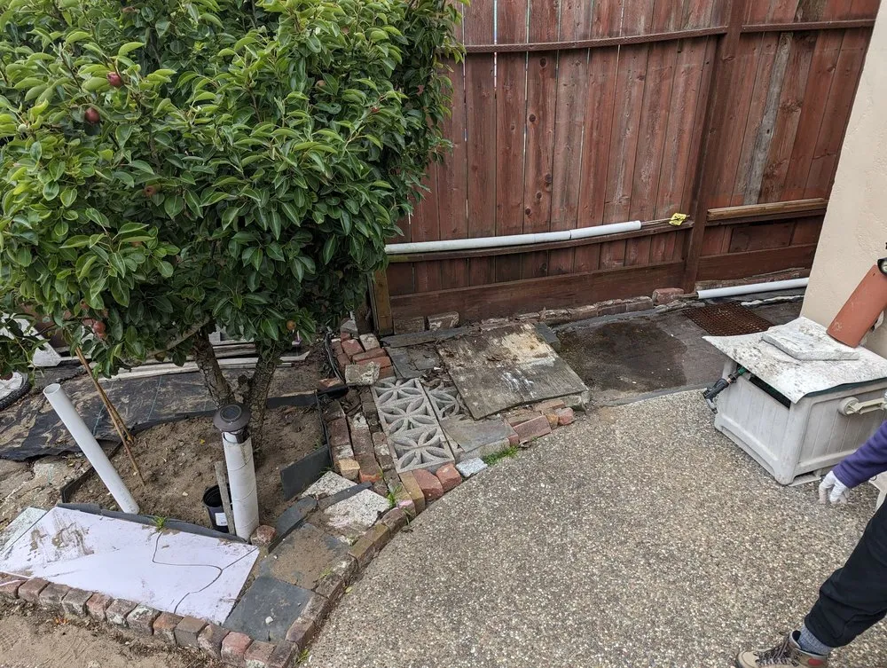 Top-rated outdoor landscaping for homes in San Francisco, CA by Go Green Landscape