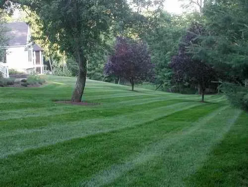 Expert yard maintenance in Williamston, MI - Go Green Landscapes