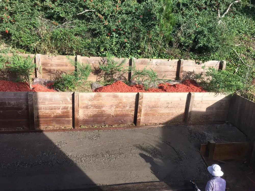 Affordable yard cleanup service for residential properties in Hayward, CA by Go Green Landscaping