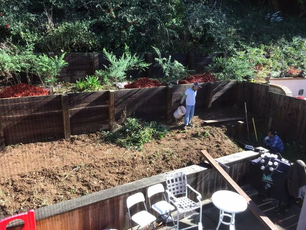 Top-rated yard maintenance in Hayward, CA - Go Green Landscaping