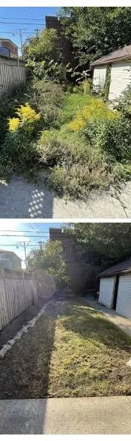 Reliable landscape installation for beautiful yards across Sacramento, CA - Go Green landscaping