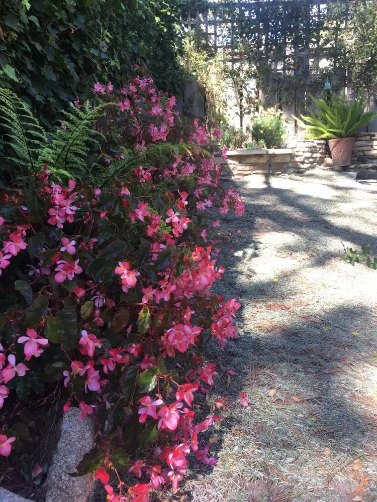 Reliable outdoor landscaping in Seaside, CA - Go Green Landscaping