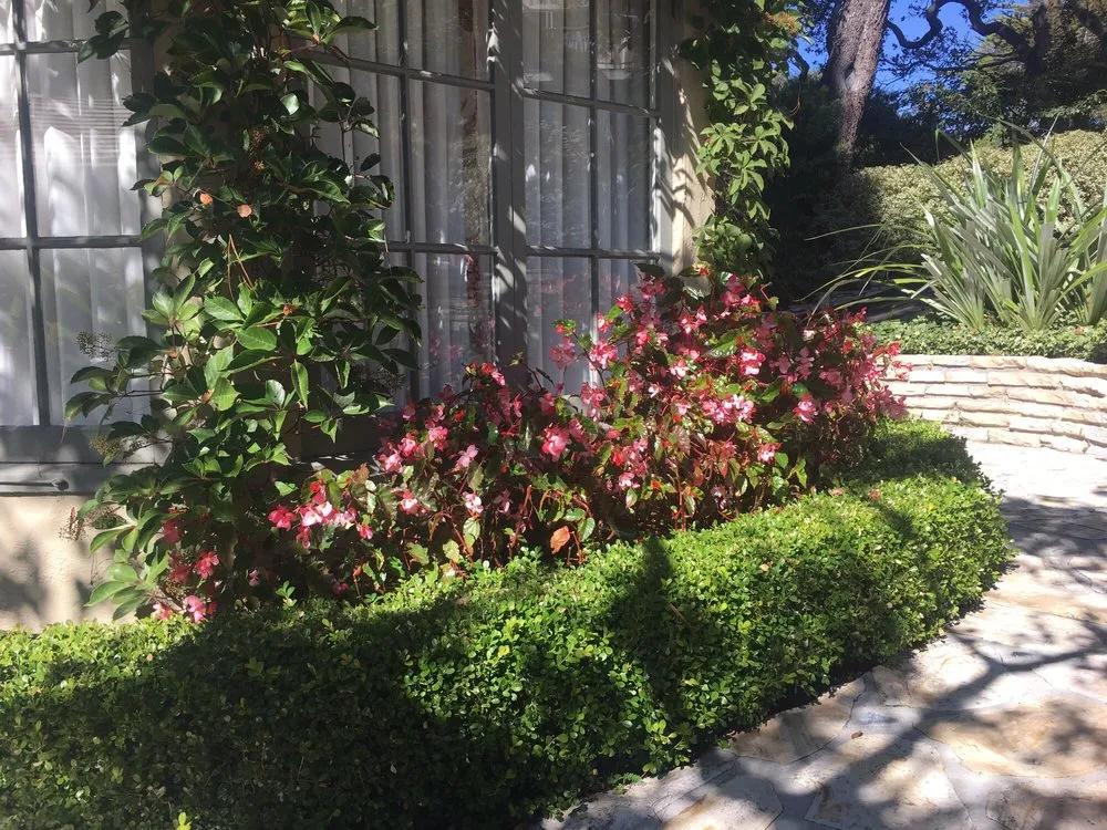 Affordable yard maintenance for beautiful yards across Seaside, CA - Go Green Landscaping