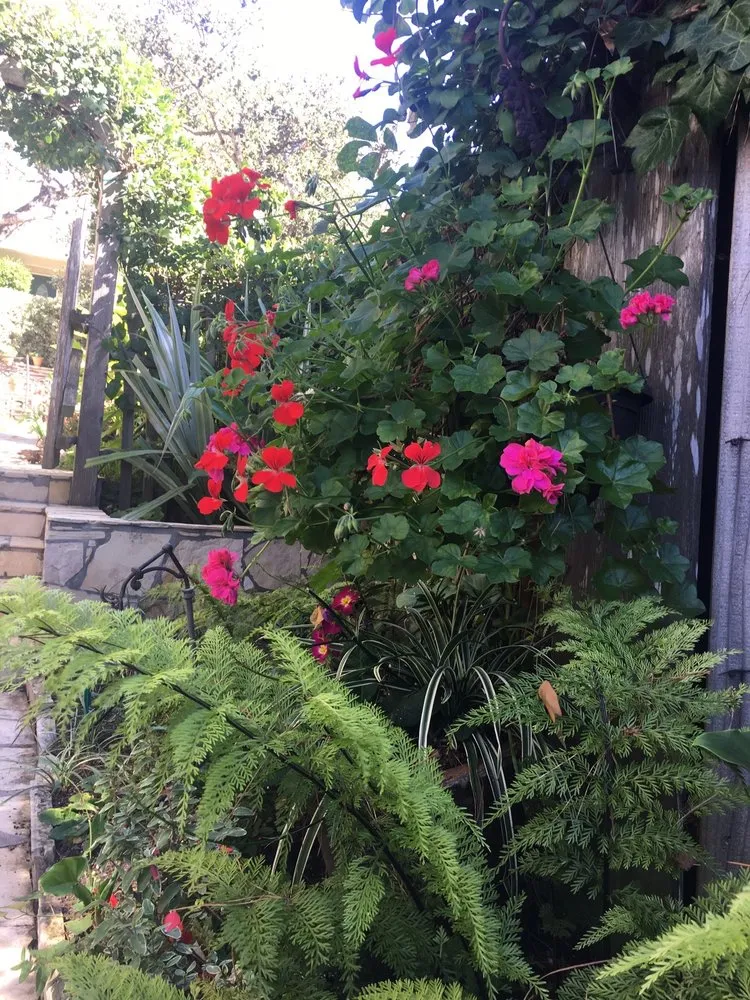 Affordable landscape installation in Seaside, CA by Go Green Landscaping