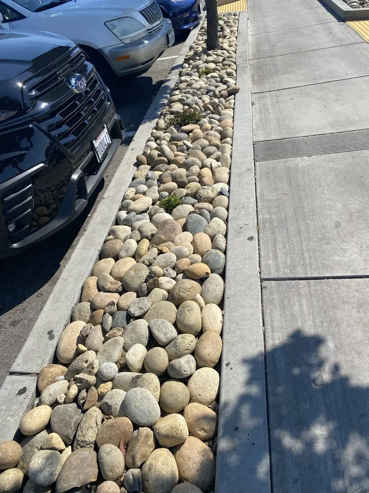 Expert garden landscaping experts serving Seaside, CA - Go Green Landscaping