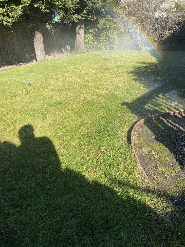 Custom lawn care service for residential properties across Seaside, CA - Go Green Landscaping