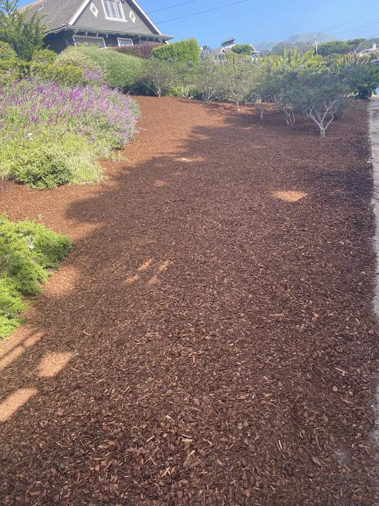 Reliable yard cleanup service experts serving Seaside, CA - Go Green Landscaping