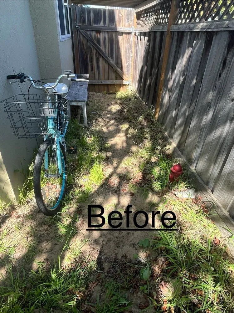 Reliable yard cleanup service for residential properties in Seaside, CA by Go Green Landscaping