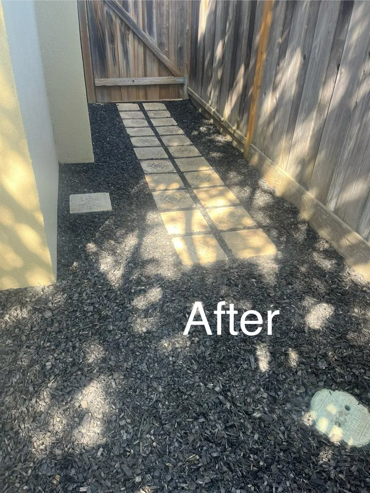 Affordable lawn care service experts serving Seaside, CA - Go Green Landscaping