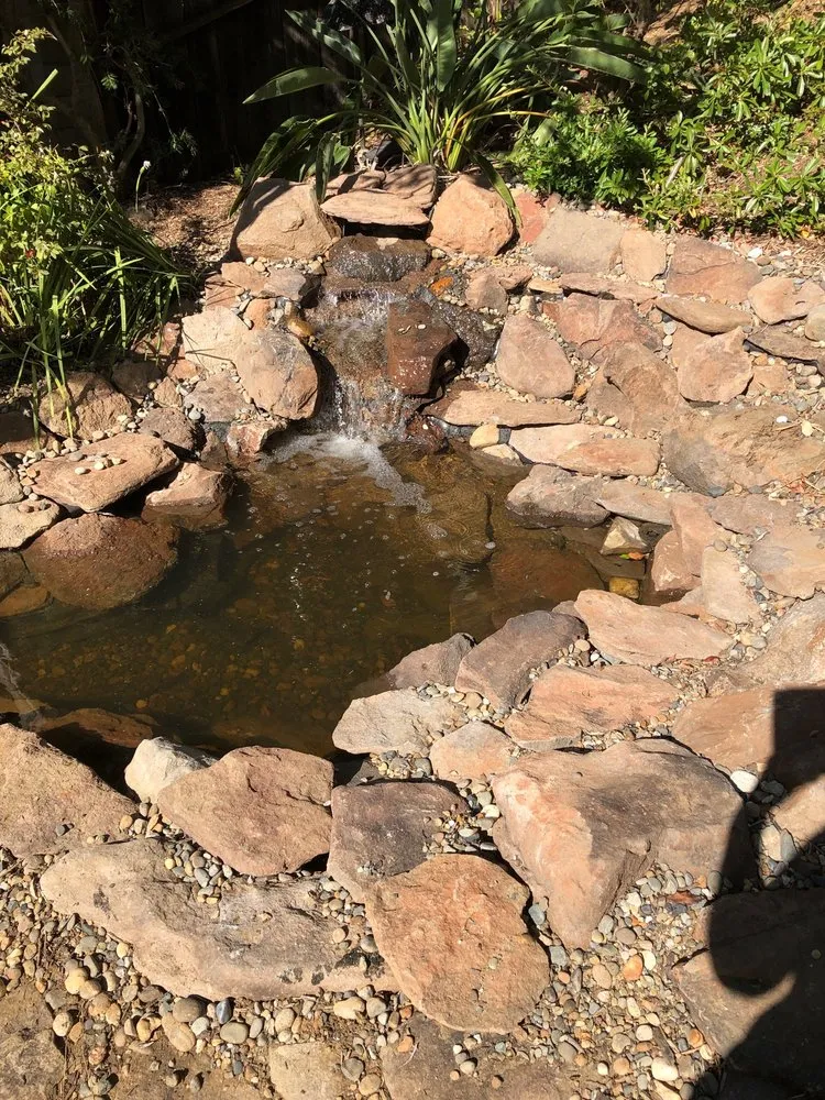 Local yard cleanup service in Fairfield, CA by Go green Lawn & Landscape