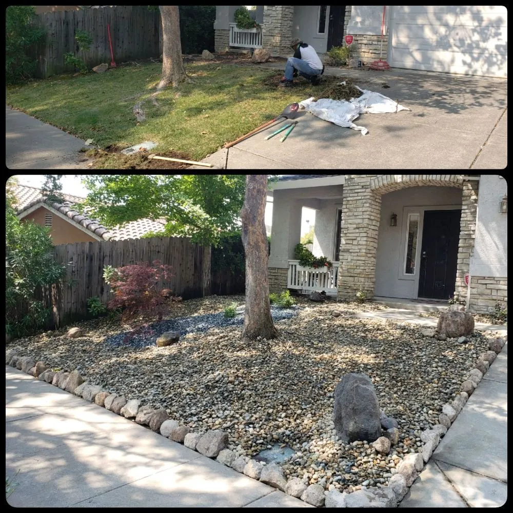 Top-rated yard cleanup service for beautiful yards across Fairfield, CA - Go green Lawn & Landscape