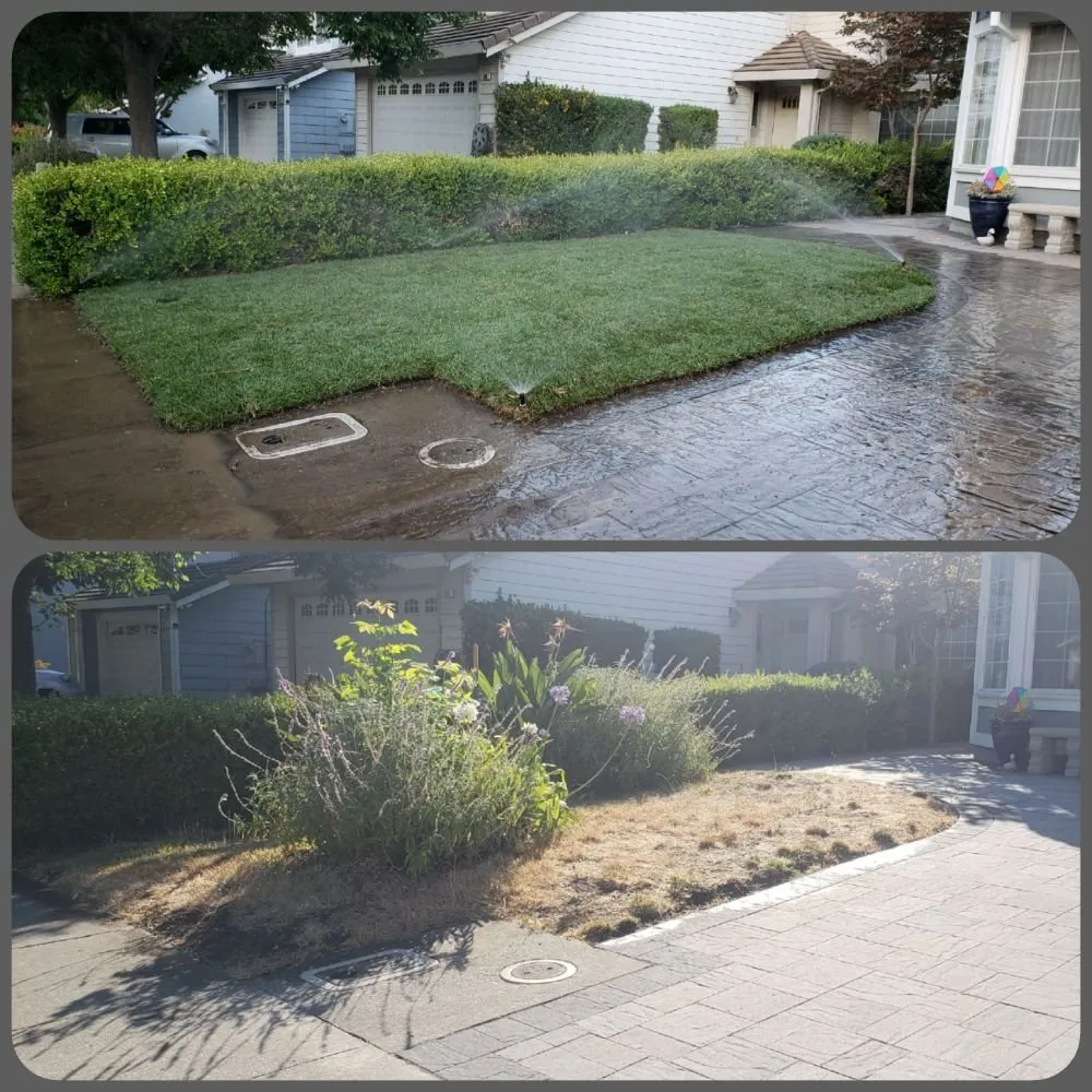 Reliable landscaping services for outdoor upgrades in Fairfield, CA by Go green Lawn & Landscape