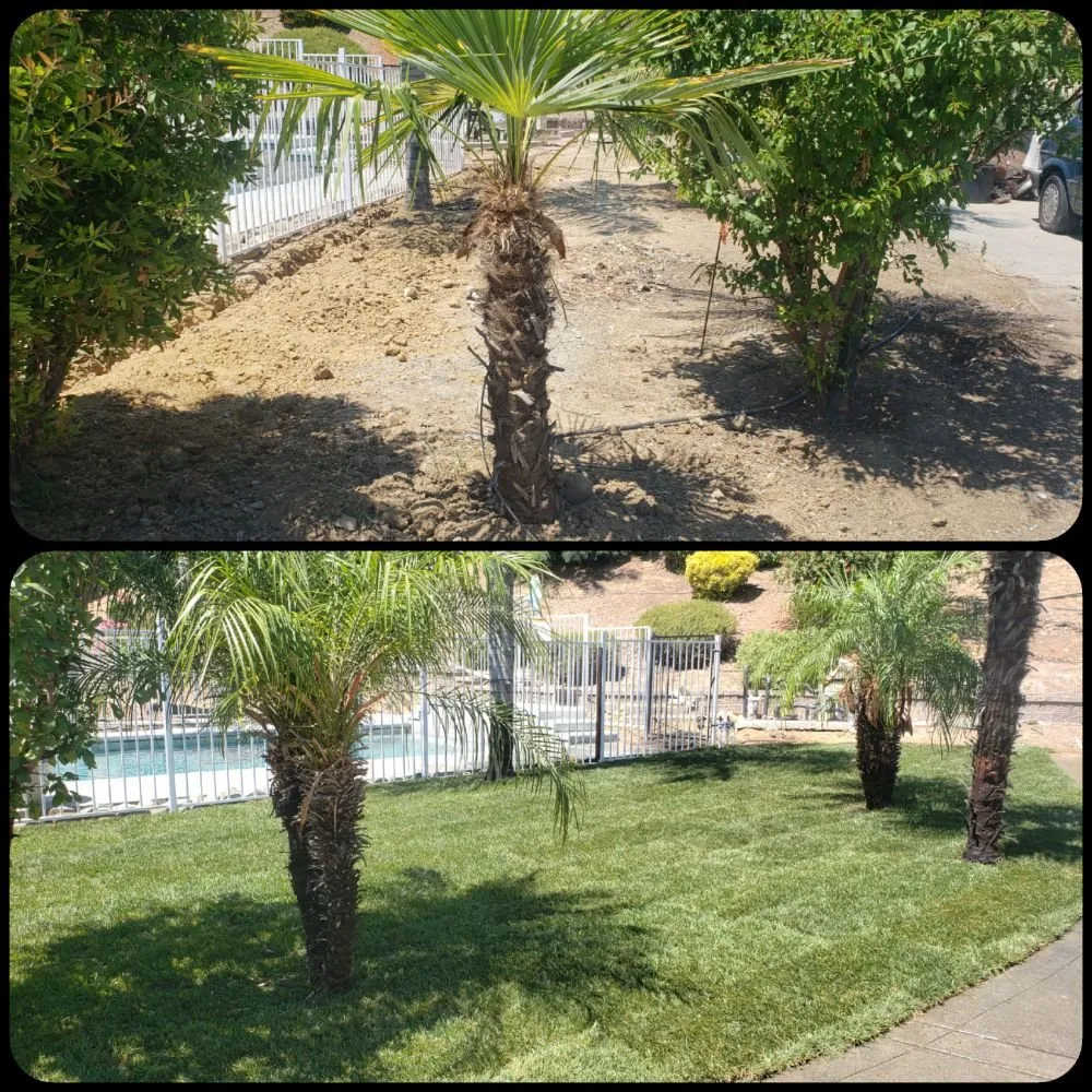 Top-rated landscaping services in Fairfield, CA - Go green Lawn & Landscape