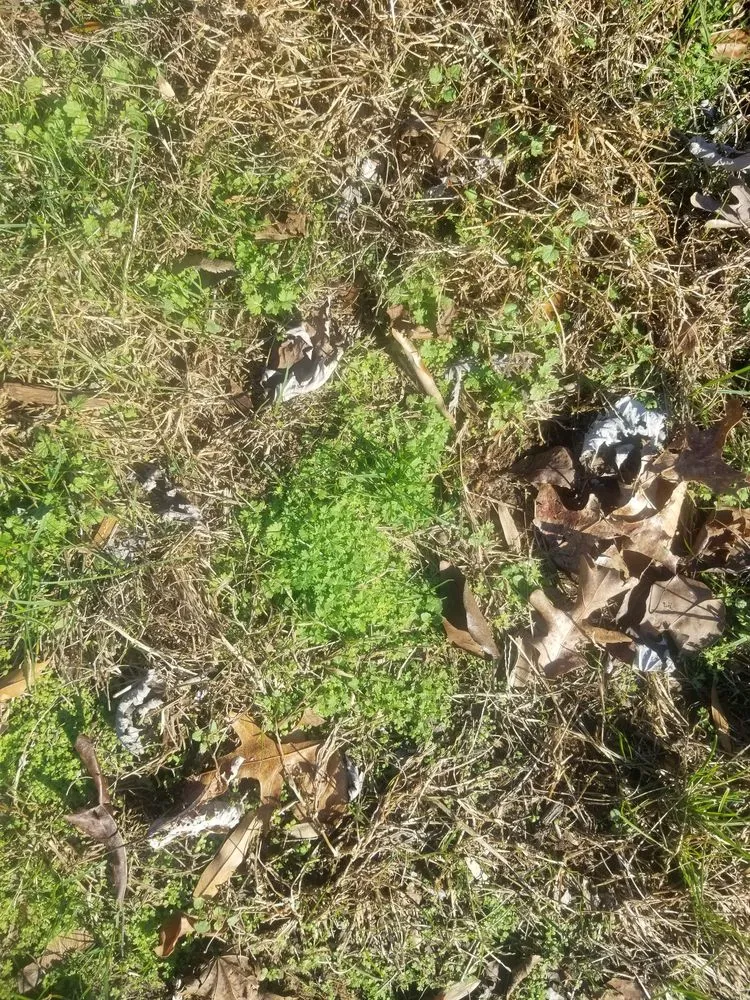 Local lawn mowing service near you in Crofton, MD by Go Green Lawn & Pest MD