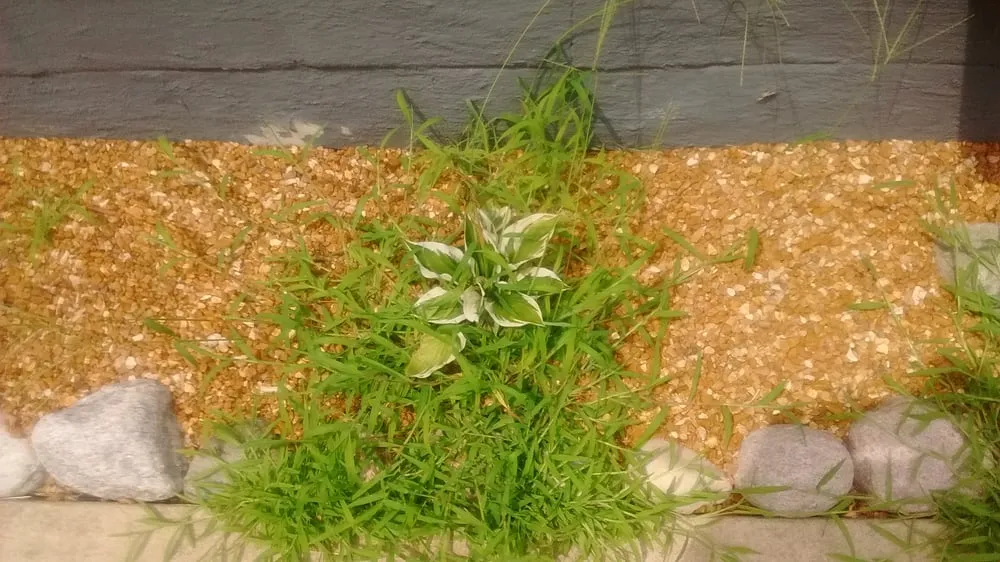 Professional garden landscaping for residential properties in Steger, IL by Go Green Lawn and Landscaping