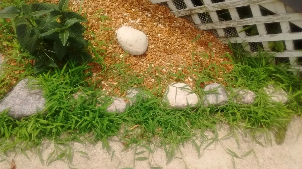 Professional landscape design in Steger, IL - Go Green Lawn and Landscaping