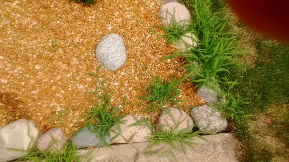 Local lawn care service in Steger, IL by Go Green Lawn and Landscaping