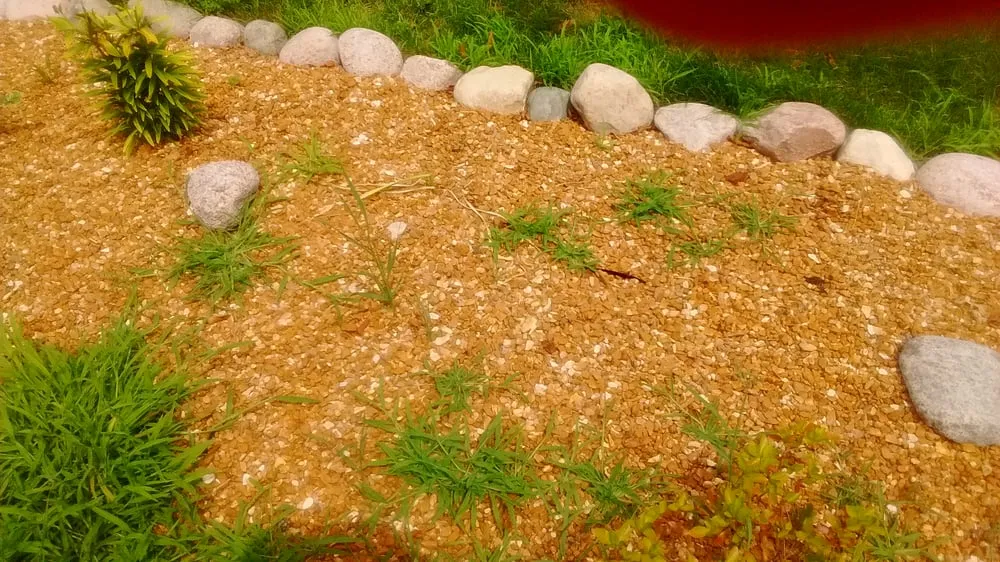 Trusted landscaping services in Steger, IL by Go Green Lawn and Landscaping