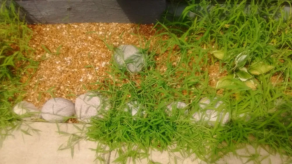 Expert lawn care service in Steger, IL - Go Green Lawn and Landscaping