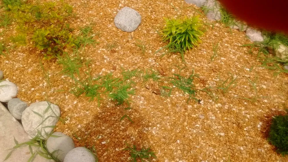 Local garden landscaping experts serving Steger, IL - Go Green Lawn and Landscaping