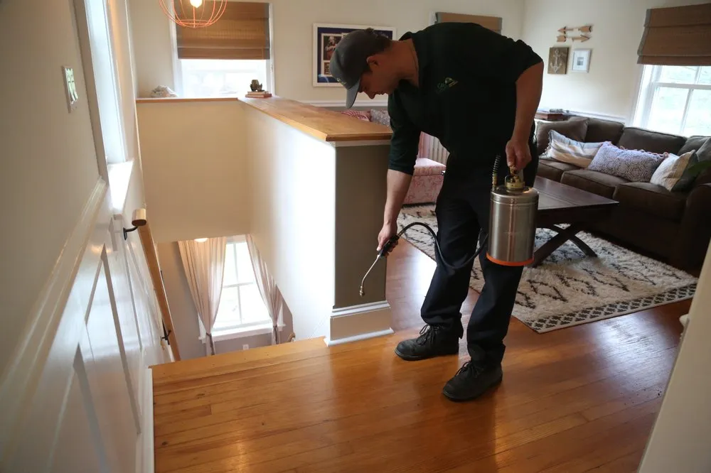 Top-rated yard cleanup service for homes across West Chester, PA - Go Green Lawn and Pest Control