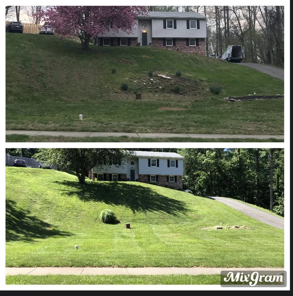 Top-rated landscaping services for residential properties in West Chester, PA by Go Green Lawn and Pest Control