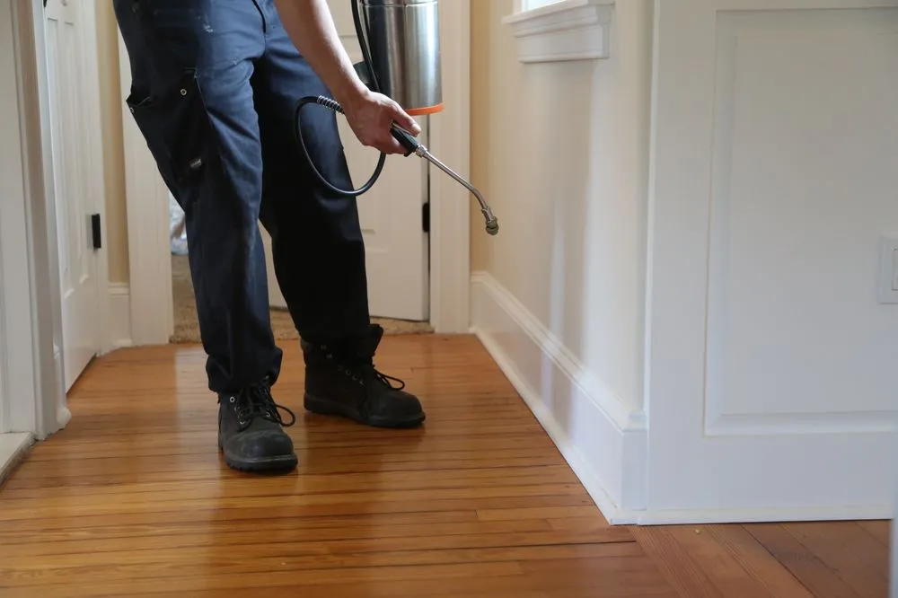 Top-rated yard cleanup service experts serving West Chester, PA - Go Green Lawn and Pest Control