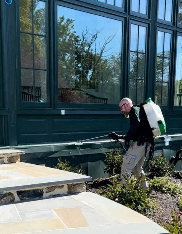 Professional yard cleanup service with custom design in West Chester, PA by Go Green Lawn and Pest Control