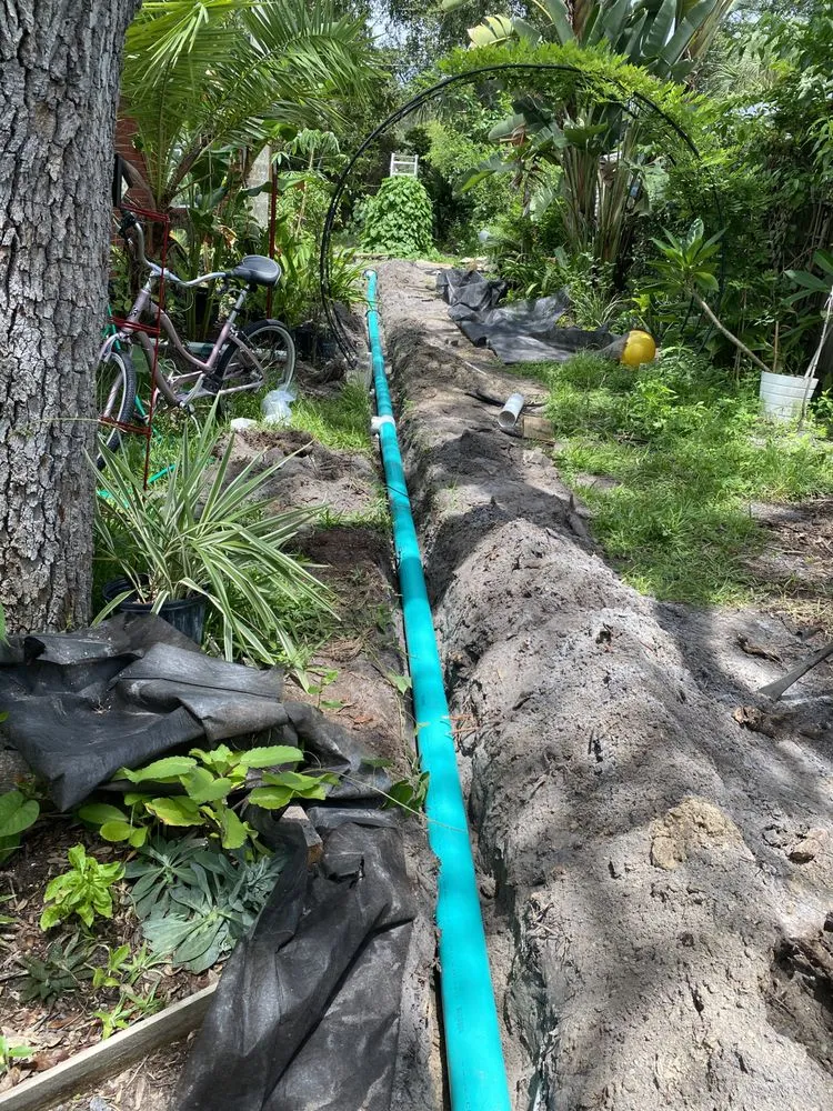 Reliable landscaping services in Clearwater, FL - Go Green Lawn Care