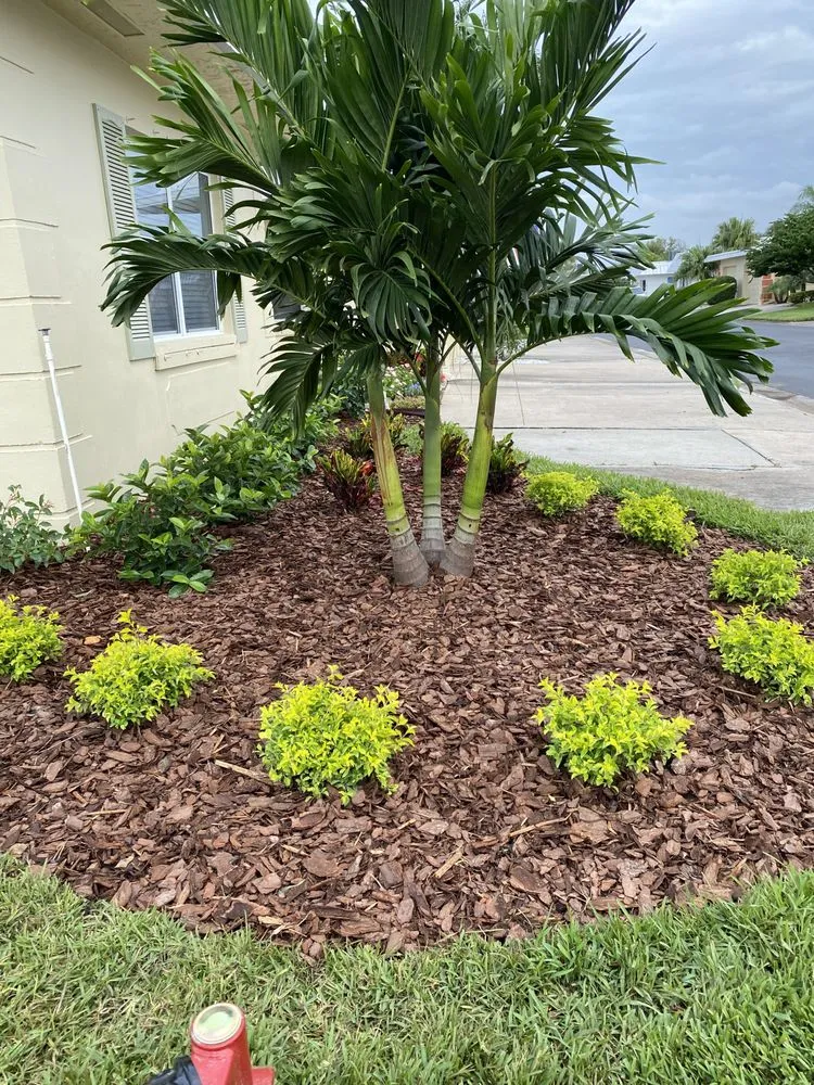 Reliable outdoor landscaping in Clearwater, FL by Go Green Lawn Care