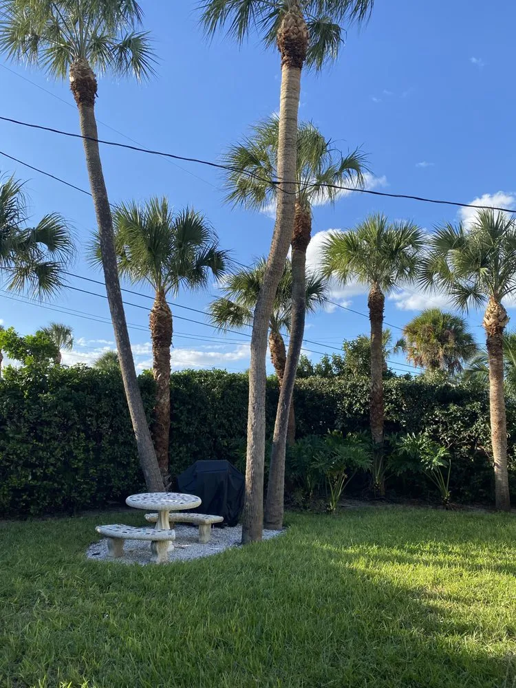 Custom yard cleanup service with custom design in Clearwater, FL by Go Green Lawn Care