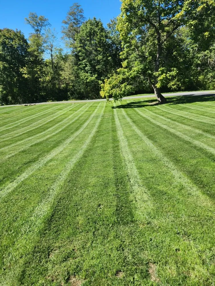 Local landscaping services with custom design across Mount Union, PA - Go Green Lawn Care