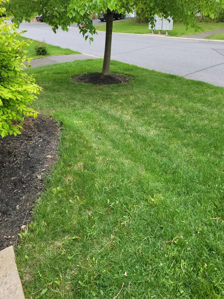 Expert lawn care service for outdoor upgrades across Mount Union, PA - Go Green Lawn Care