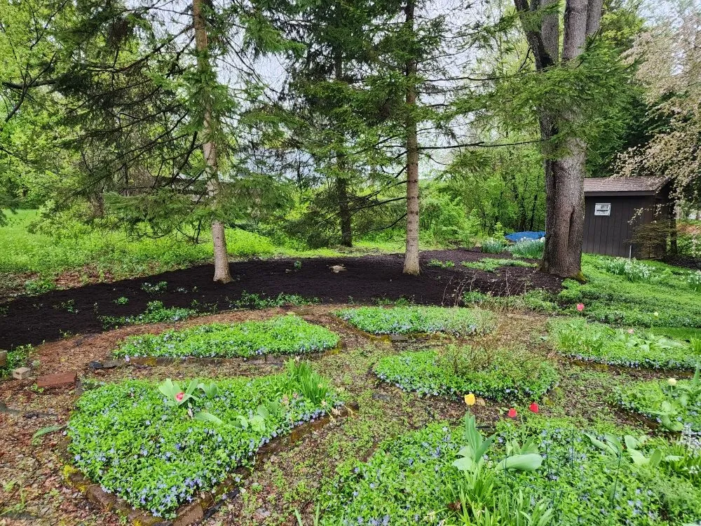 Reliable residential landscaping with custom design in Mount Union, PA by Go Green Lawn Care