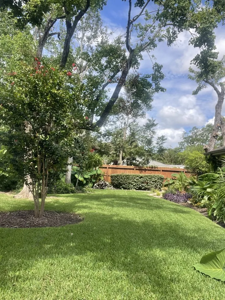 Reliable yard cleanup service for residential properties across Humble, TX - Go Green Lawn Service