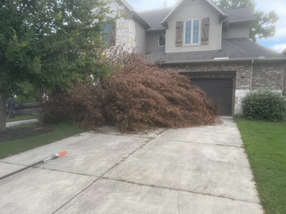 Local garden landscaping experts serving Humble, TX - Go Green Lawn Service