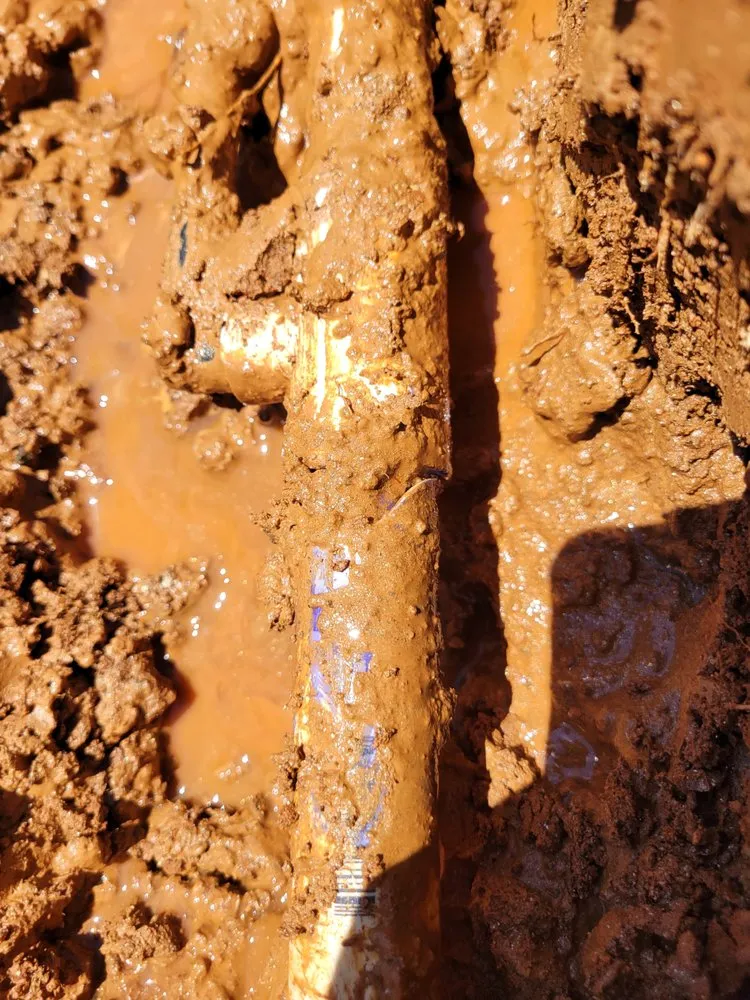 Reliable lawn care service experts serving Fort Mill, SC - Go Green Lawn Sprinklers