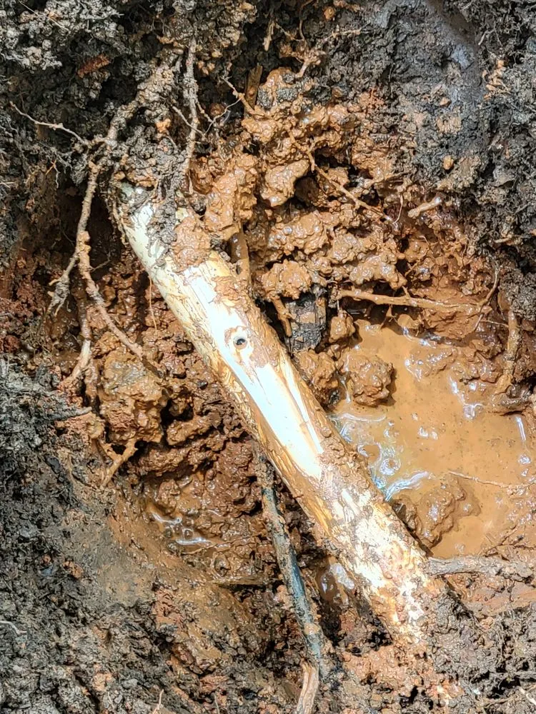 Local lawn care service experts serving Fort Mill, SC - Go Green Lawn Sprinklers