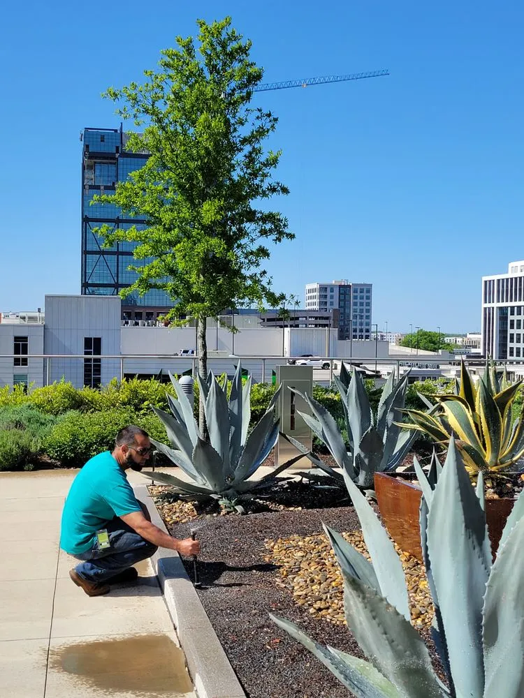 Expert landscape design in Fort Mill, SC by Go Green Lawn Sprinklers