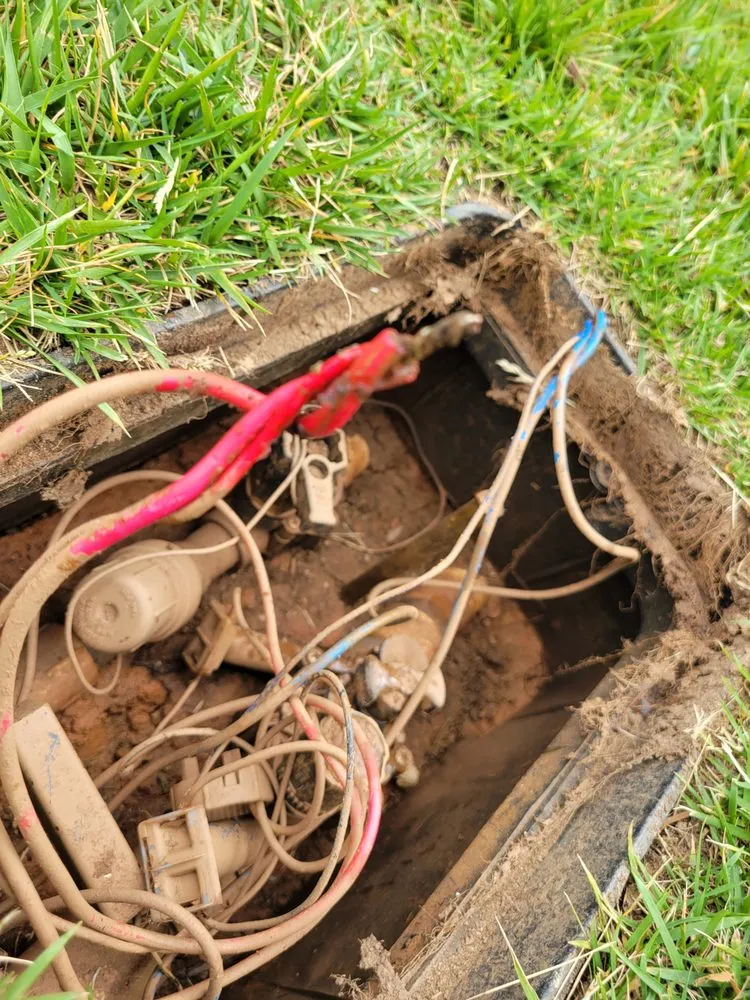 Trusted lawn care service in Fort Mill, SC - Go Green Lawn Sprinklers