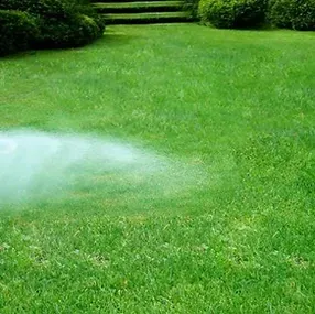 Expert landscape design experts serving Ankeny, IA - Go Green Lawns