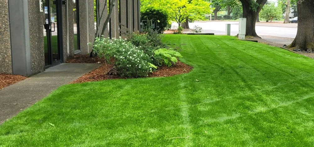 Reliable yard cleanup service in Cornelius, OR - Go-Green Oregon Landscape Maintenance